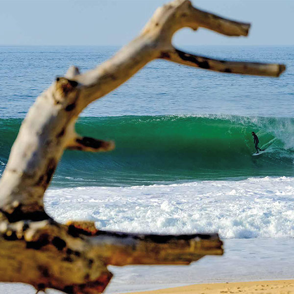 Surf dans les Landes